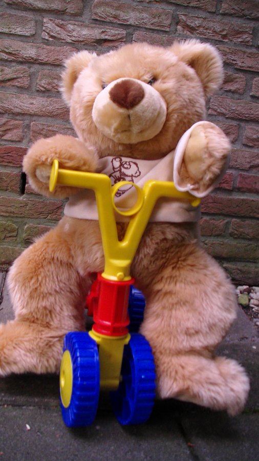 Teddy De Mascotte